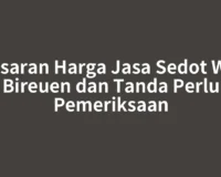 Kisaran Harga Jasa Sedot WC Bireuen dan Tanda Perlu Pemeriksaan
