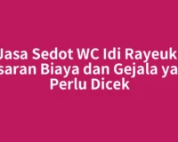 Jasa Sedot WC Idi Rayeuk: Kisaran Biaya dan Gejala yang Perlu Dicek