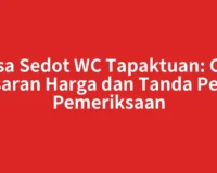 Jasa Sedot WC Tapaktuan: Cek Kisaran Harga dan Tanda Perlu Pemeriksaan