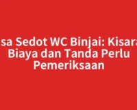 Jasa Sedot WC Binjai: Kisaran Biaya dan Tanda Perlu Pemeriksaan