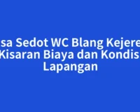 Jasa Sedot WC Blang Kejeren: Kisaran Biaya dan Kondisi Lapangan