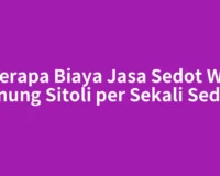 Berapa Biaya Jasa Sedot WC Gunung Sitoli per Sekali Sedot?