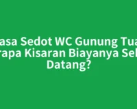 Jasa Sedot WC Gunung Tua, Berapa Kisaran Biayanya Sekali Datang?