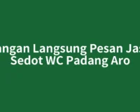 Jangan Langsung Pesan Jasa Sedot WC Padang Aro