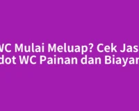 WC Mulai Meluap? Cek Jasa Sedot WC Painan dan Biayanya