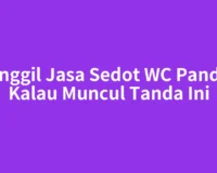 Panggil Jasa Sedot WC Pandan Kalau Muncul Tanda Ini