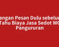 Jangan Pesan Dulu sebelum Tahu Biaya Jasa Sedot WC Pangururan