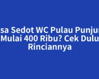 Jasa Sedot WC Pulau Punjung Mulai 400 Ribu? Cek Dulu Rinciannya