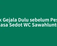 Cek Gejala Dulu sebelum Pesan Jasa Sedot WC Sawahlunto