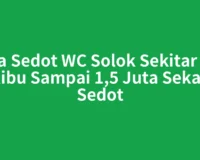Jasa Sedot WC Solok Sekitar 400 Ribu Sampai 1,5 Juta Sekali Sedot