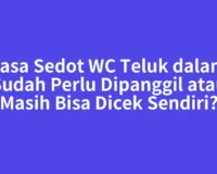 Jasa Sedot WC Teluk dalam Sudah Perlu Dipanggil atau Masih Bisa Dicek Sendiri?