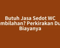 Butuh Jasa Sedot WC Tembilahan? Perkirakan Dulu Biayanya