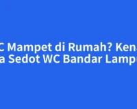 WC Mampet di Rumah? Kenali Jasa Sedot WC Bandar Lampung