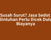 Air Susah Surut? Jasa Sedot WC Bintuhan Perlu Dicek Dulu Biayanya