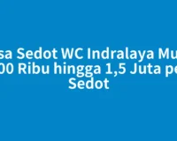 Jasa Sedot WC Indralaya Mulai 400 Ribu hingga 1,5 Juta per Sedot