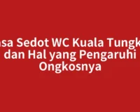 Jasa Sedot WC Kuala Tungkal dan Hal yang Pengaruhi Ongkosnya
