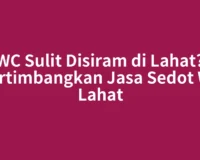 WC Sulit Disiram di Lahat? Pertimbangkan Jasa Sedot WC Lahat