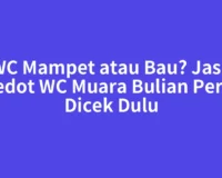 WC Mampet atau Bau? Jasa Sedot WC Muara Bulian Perlu Dicek Dulu