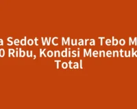 Jasa Sedot WC Muara Tebo Mulai 500 Ribu, Kondisi Menentukan Total