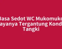 Jasa Sedot WC Mukomuko Biayanya Tergantung Kondisi Tangki