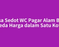 Jasa Sedot WC Pagar Alam Bisa Beda Harga dalam Satu Kota
