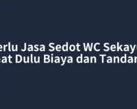 Perlu Jasa Sedot WC Sekayu? Lihat Dulu Biaya dan Tandanya