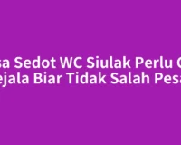Jasa Sedot WC Siulak Perlu Cek Gejala Biar Tidak Salah Pesan