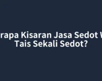 Berapa Kisaran Jasa Sedot WC Tais Sekali Sedot?